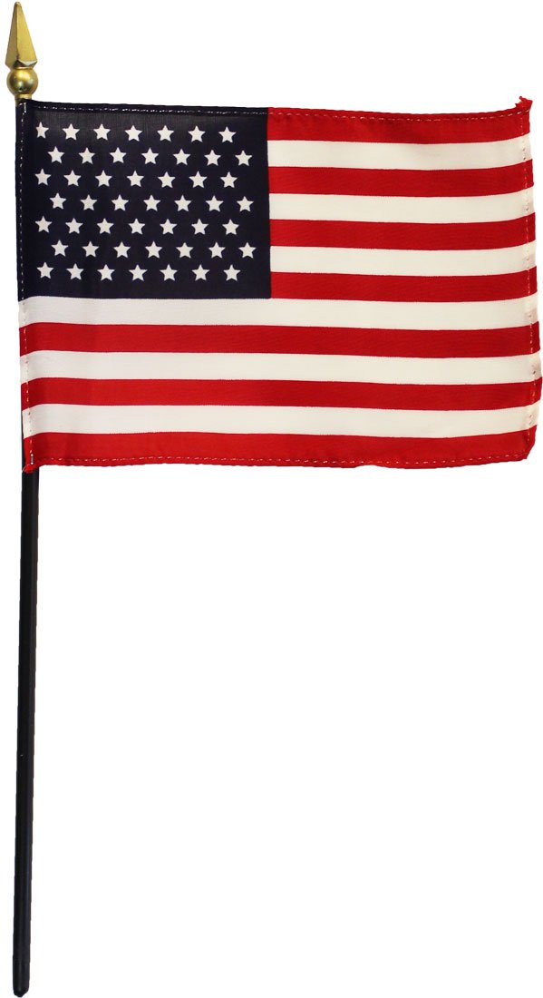 USA (49-Stars) - 4"X6" Stick Flag