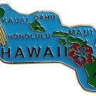 Hawaii State Map Lapel Pin