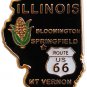 Illinois State Map Lapel Pin