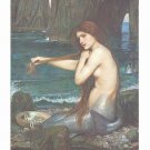 A Mermaid Art Print 24x32 John Waterhouse 1900