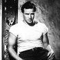 MARLON BRANDO POSTER 24X36 A STREETCAR NAMED DESIRE 61X90 CM STANLEY KOWALSKI