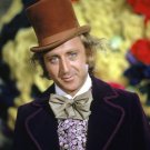 WILLY WONKA POSTER 24X36 CHARLIE AND THE CHOCOLATE FACTORY GENE WILDER DAHL OOP