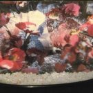 WIZARD OF OZ SNOW GLOBE DOROTHY ASLEEP POPPY FIELD POPPIES CHRISTMAS GLINDA SNOWGLOBE