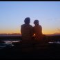 Harold and Maude Criterion Collection DVD Brand New & Sealed WS OOP Not Blu-ray