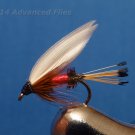 1 Dozen Royal Coachman Wet Fly #14