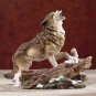 Howling Wolf On Snow