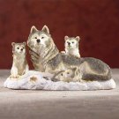 Wolf Family On Snow