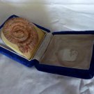 NATURAL ammonite FOSSIL SPECIMEN Australia????