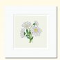 Cross Stitch Pattern of Flower Daisy- xspdlpp40eC