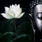 andmade Beautiful Buddha With Flower Oil Painting on Canvas Framed