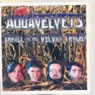 The Aquavelvets