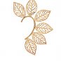 ASOS Leaf Ear Cuff 6 Feather Non Pierced Earring Hanger Sold Out Rare