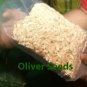 Automatic Oil Press Machine - Seed Oil Press Mill [ 5kg-8kg/ hr Super 304 S.S.]