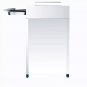 Fryer LPG Stainless Steel -  Commercial Gas Fryer - 40L Oil Tank Capacity