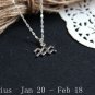 Aquarius Necklace, Aquarius Zodiac, Aquarius Charm Necklace