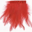 Rooster Fringe
