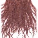 Ostrich Fringe