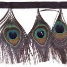 Peacock Eye Fringe