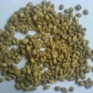 GREEN LUWAK COFFEE BEANS Kopi Luwak Indonesia 100gr