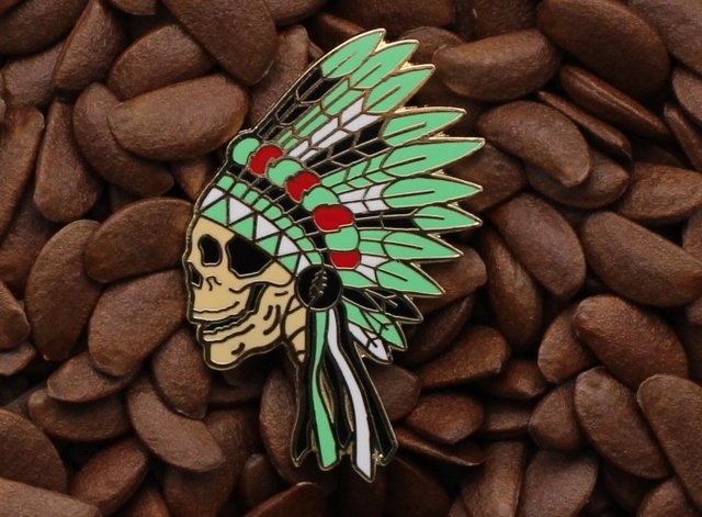 Grateful Dead Pins Native American Indian Headdress Skull Pin