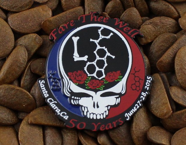 Grateful Dead Pins Fare Thee Well 50th Ann. Steal Your Face L Pin