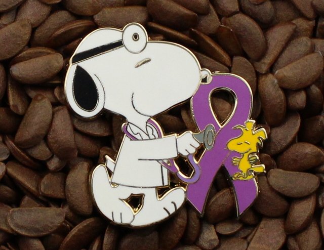 Purple Ribbon Pins Peanuts Doctor Pin Snoopy & Woodstock