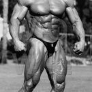 Bodybuilder LOU FERRIGNO High Definition 13x19 inch Photo Picture Print