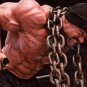 Bodybuilder BRANCH WARREN High Definition 13x19 inch Photo Picture Print