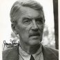 JAMES JIMMY STEWART Signed Autograph 8x10 inch. Picture Photo REPRINT