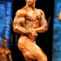 Bodybuilder YORTON High Definition 13x19 inch Photo Picture Print