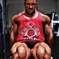 Bodybuilder JASON HUH High Definition 13x19 inch  Photo Picture Print