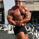 Bodybuilder GARY STRYDOM High Definition 13x19 inch  Photo Picture Print