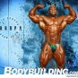 Bodybuilder ESSA OBAID High Definition 13x19 inch  Photo Picture Print