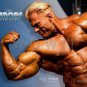 Bodybuilder DENNIS WOLF High Definition 13x19 inch  Photo Picture Print