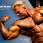 Bodybuilder DENNIS WOLF High Definition 13x19 inch  Photo Picture Print