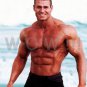 Bodybuilder DAVID RYLAH High Definition 13x19 inch  Photo Picture Print