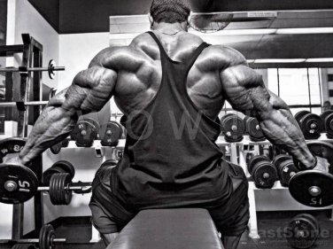 Bodybuilder ROELLY WNKLAARI High Definition 13x19 inch  Photo Picture Print