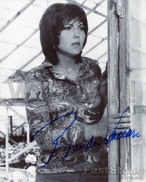 Gorgeous BRENDA VACCARO Signed Autograph 8x10 inch. 