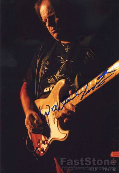 Walter trout. Уолтер Траут. Walter Trout дискография. Уолтер Траут американский гитарист. Фото Walter Trout.