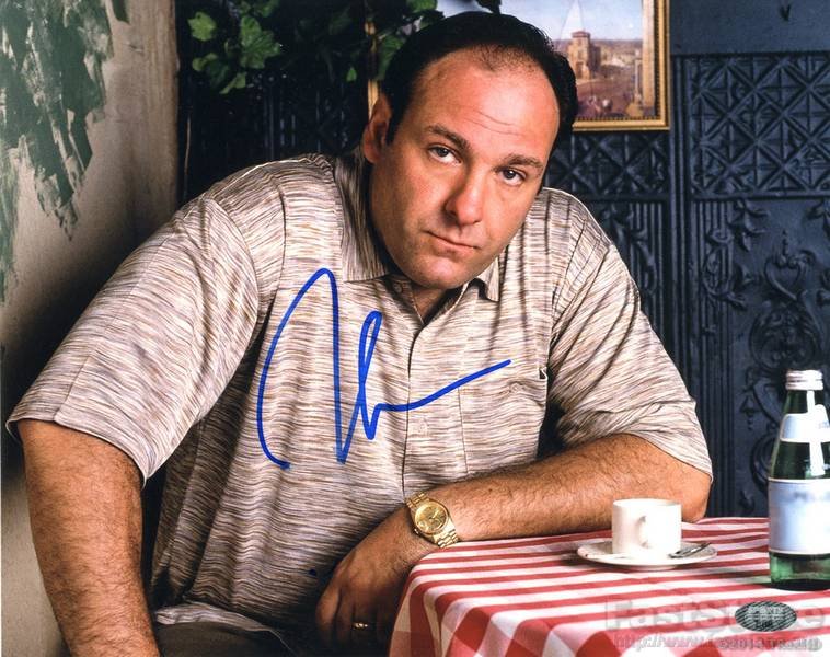 JAMES GANDOLFINI Autographed Signed 8x10 Photo Picture REPRINT