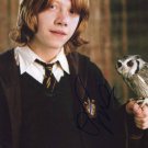 RUPERT GRINT Autographed Signed 8x10Photo Picture REPRINT
