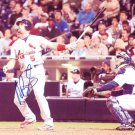 ALBERT PUJOLS Autographed signed 8x10 Photo Picture REPRINT