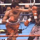 OSCAR DE LA HOYA Autographed signed 8x10 Photo Picture REPRINT