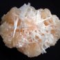 AWESOME SCOLECITE AND STILBITE MINERALS FORMATION COLLECTIBLES SPECIMENS INDIA