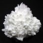 AWESOME MORDENITE ON LIGHT GREEN APOPHYLLITE MINERALS COLLECTIBLES INDIA PIECE