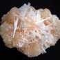 AWESOME SCOLECITE AND STILBITE MINERALS FORMATION COLLECTIBLES SPECIMENS 487 gms