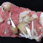 AMAZING STILBITE AND MORDENITE ON RED CHALCEDONY MINERALS COLLECTIBLES 2.45 Kg