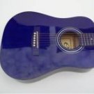Eleca Acoustic Guitar Blue