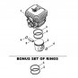 STIHL TS410 TS420 NIKASIL CYLINDER AND PISTON "now with bonus set of rings" 50mm