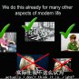 Harvard Open Class Video: aim high concentrate full English subtitles 1CD 15 SALE